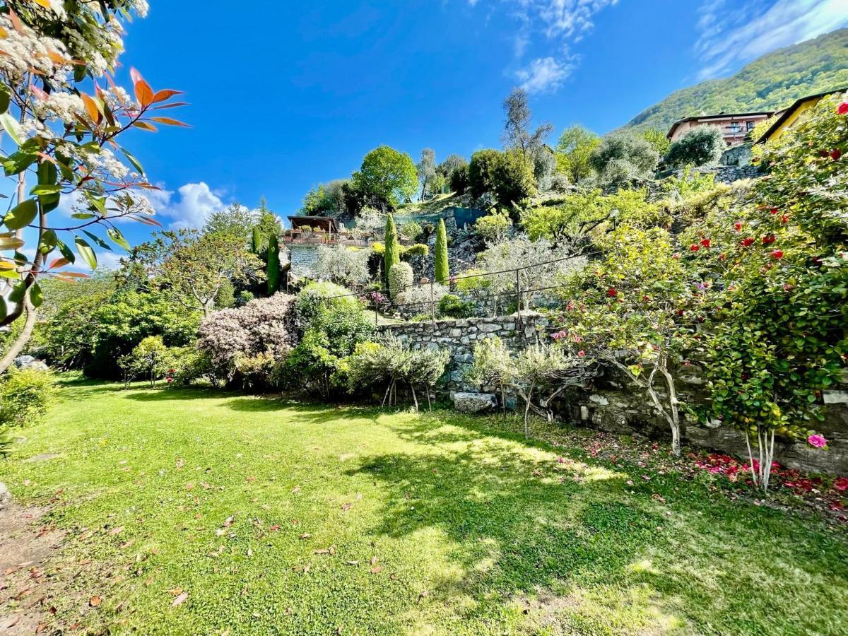 Eden Sul Lago Di Como نيسّو المظهر الخارجي الصورة